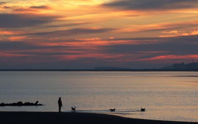 Two Galway beaches 'below standard'