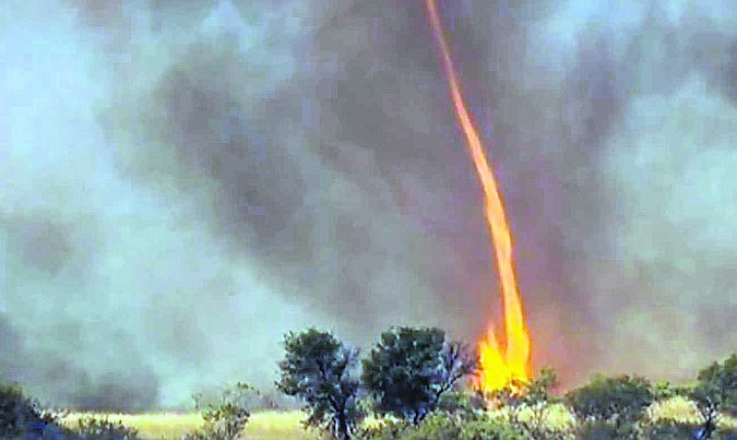 Firenado