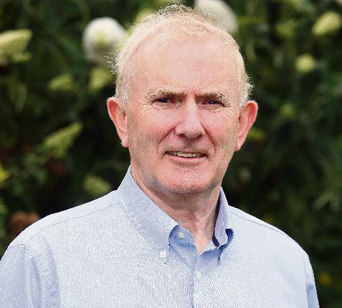 Des McGuire, mediation tutor