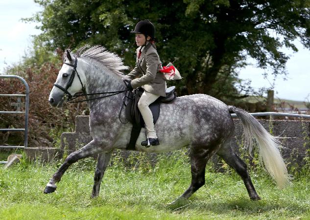 Thirteen-year-old, Laura Higginsfrom Oughterard, a winner at the Loughrea Show on her dashing Connemara pony.