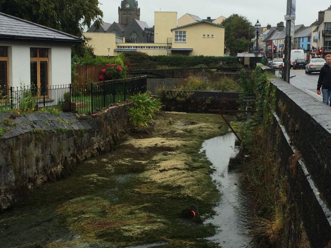 Parts of Galway's canal network have dried up.