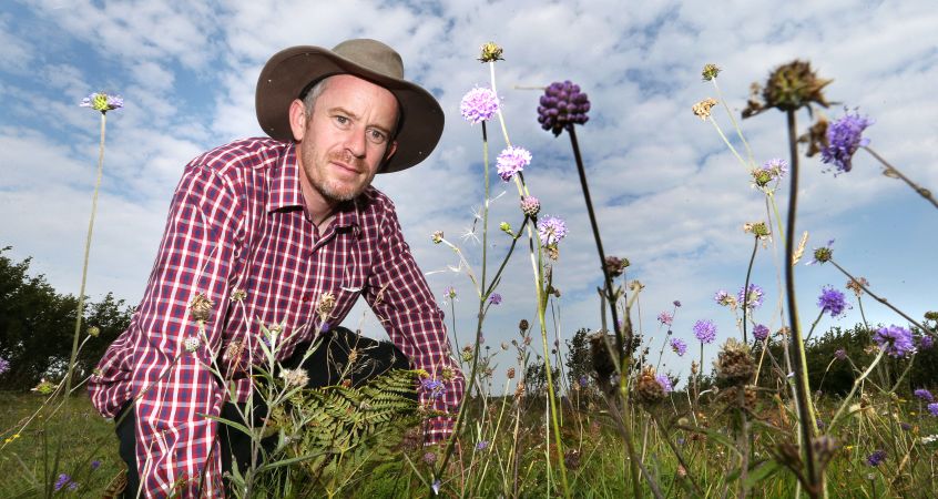 Dan Clabby in the species-rich field.