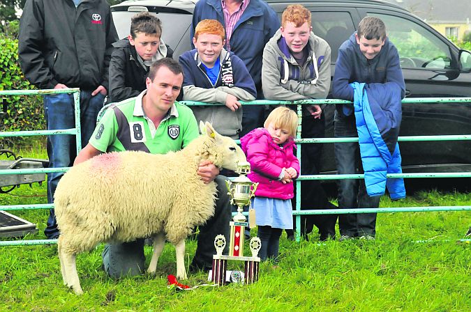 Little Alison Walsh, throws a very cautious eye on the champion Texel ewe being shown by her father Thomas, at the Oughterard Show last weekend. PHOTO: TOM BRODERICK.