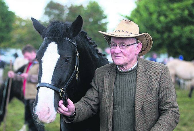 Paddy Killilea from Aughrim waiting for the buyers at the Ballinasloe Horse Fair. PHOTO: HANY MARZOUK.