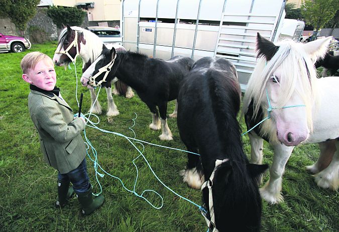 Gerry Connors from Dangan, Offaly, keeps an eye on the ponies during the Ballinasloe Horse Fair. Picture: Hany Marzouk