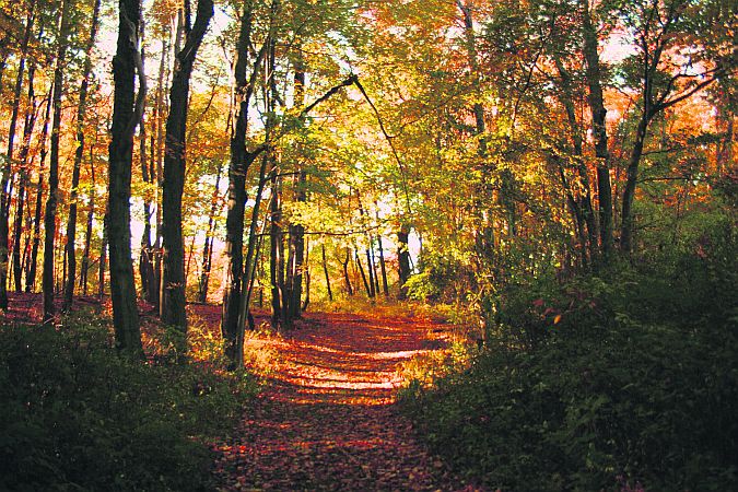 The fading light and colours of October.