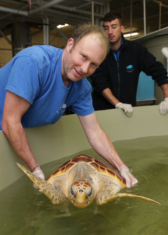 Galway Atlantaquaria Manager Matthew Hawkins with the Leon the loggerhead turtle