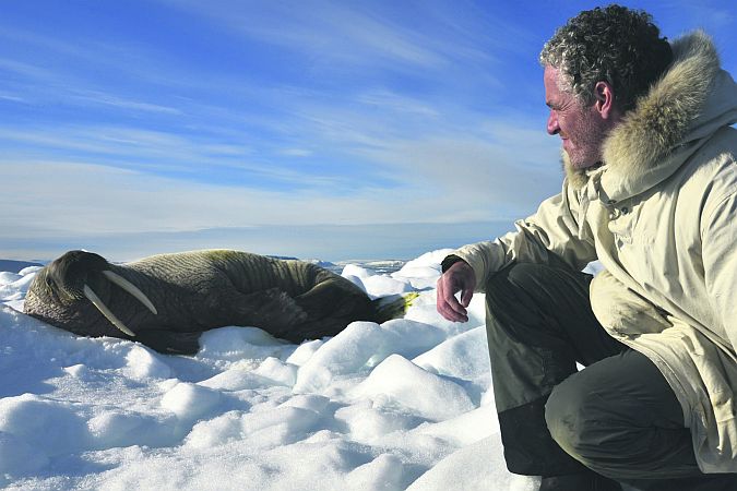 Gordon Buchanan gets up close to a seal. His work has brought him to the furthest-flung corners of the world.