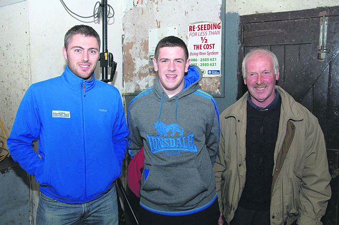 Chris Daly (ICBF), Conor and Martin O'Malley, Headford pictured at the Teagasc-Munster AI suckler breeding demonstration at Headford Mart.