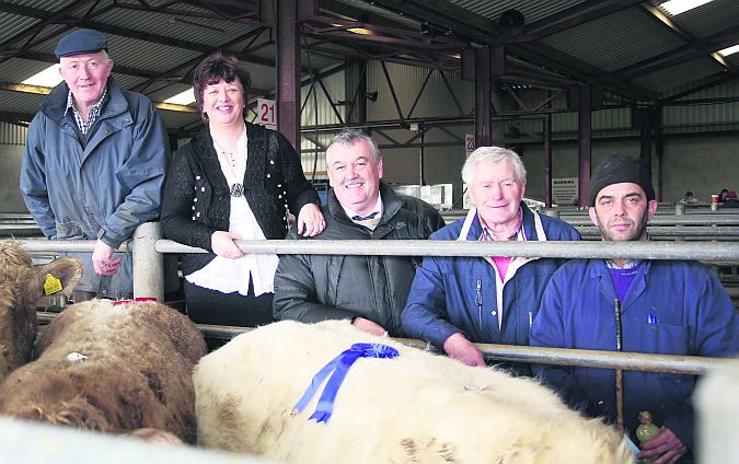 Pictured at the Mountbellew Mart Show and Sale this week were: Pat Geraghty (judge); Marian Higgins,Mountbellew Mart; Roy O'Brien, IFA; John Dillon (judge) and Tony Connor.