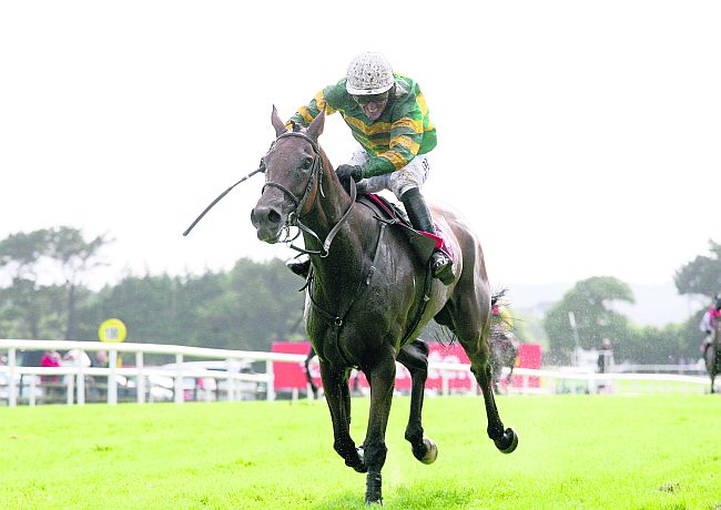 GOLD CUP BOUND: Carlingford Lough is driven out by Tony McCoy to win the Galway Playe in 2013. The partrnership will be seeking festival glory in Cheltenham next Friday. Inset: 2014 Galway Plater winner Road To Riches is also a leading Gold Cup contender.