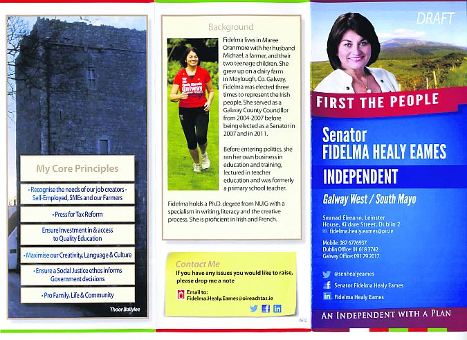 Fidelma Healy Eames ‘draft’ leaflet.