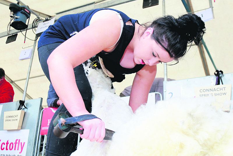 Anita Kerrigan from Clonbur shows her skills in the hand shearing section of the Connacht Spring Show at Balllinrobe Racecourse last Sunday. PHOTO: HANY MARZOUK.