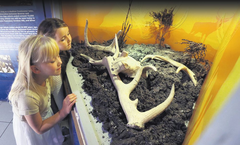 Mia O'Neill (7), back, and Niamh Connery (6), both of Knocknacarra, get a close-up view of the red deer skull and antlers on display at the Atlantaquaria in Salthill. Photo: Joe O'Shaughnessy.