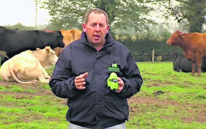 Offaly farmer Niall Austin . . . the creator of the Moocall electronic calving warning device.