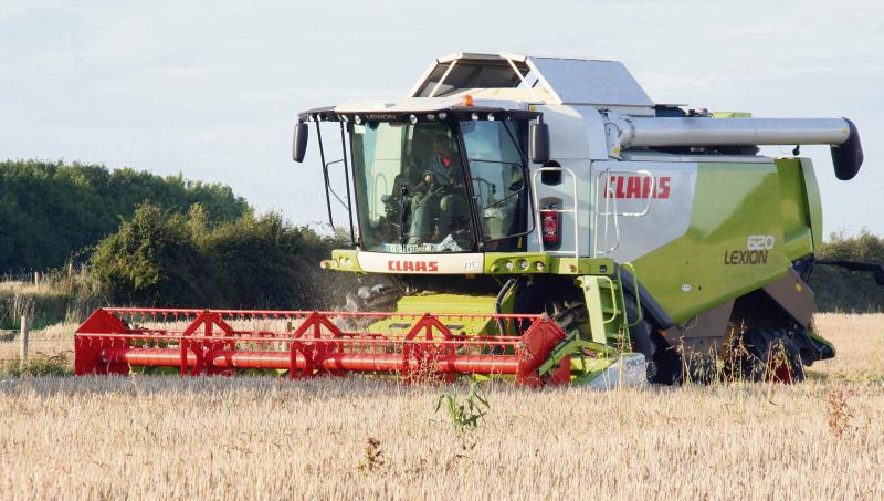A chance of harvest the last of the crops with the good weather of late September. Photo: David Walsh