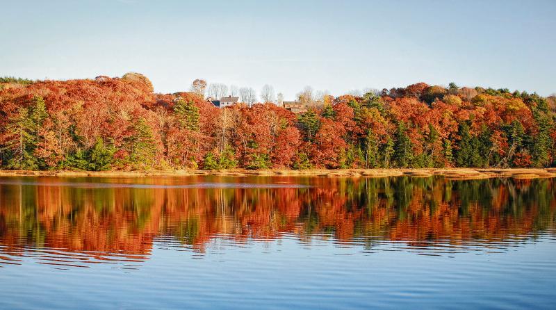 The stunning autumnal beauty of an Indian Summer in New England, north-eastern USA.