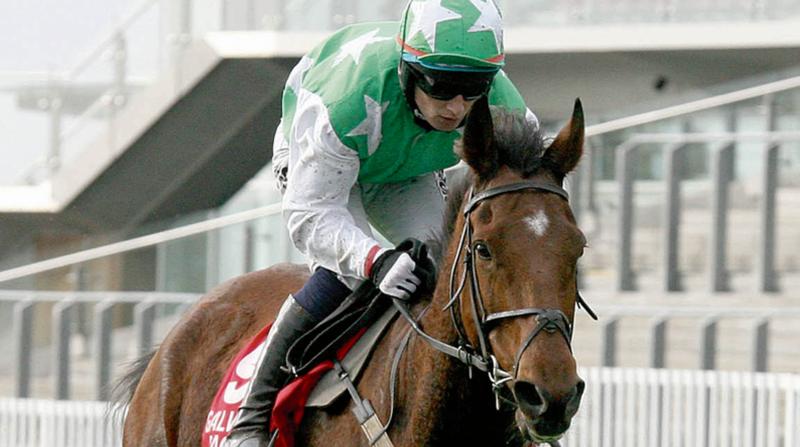 The Val O'Brien trained Valours Minion winning the Renvyle House Hotel Handicap Steeplechase at last year's Galway October meeting. The 12-year-old is again bound for Ballybrit on Monday