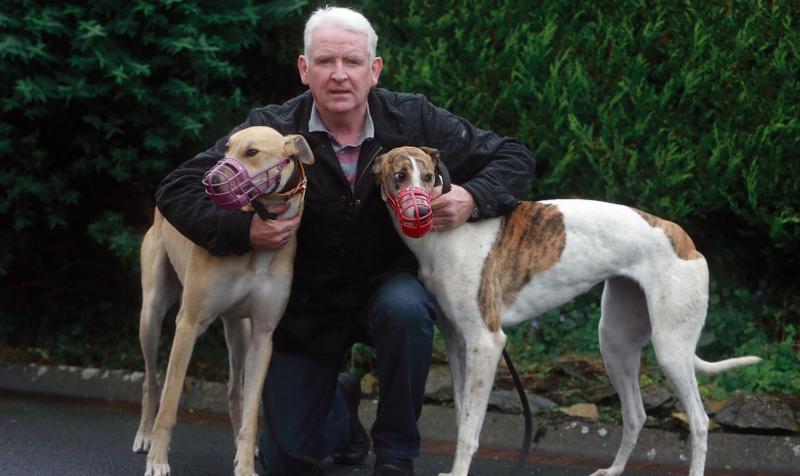 Loughrea Coursing Club Secretary Jack Mahony with two of his greyhounds.