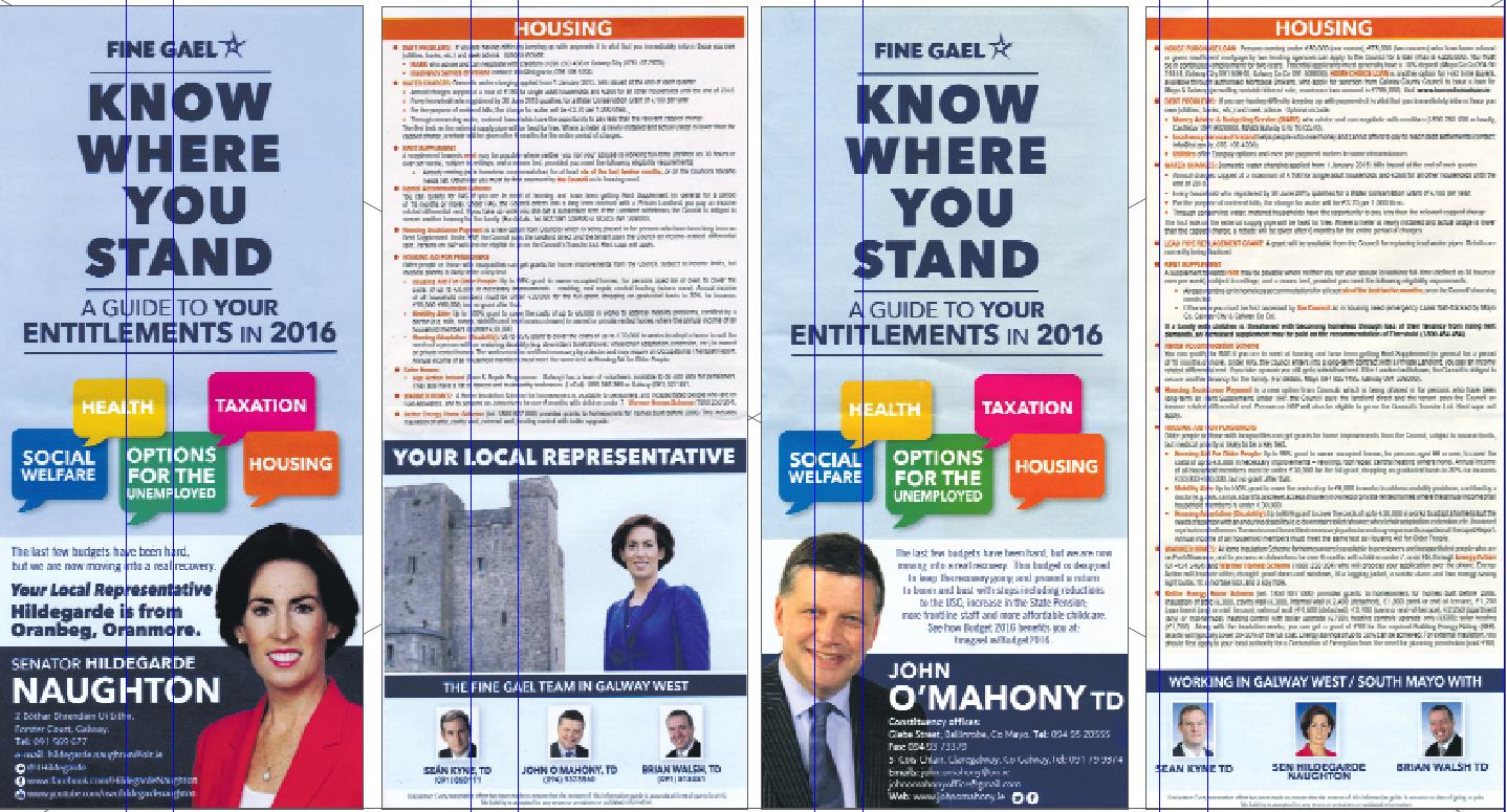 Spot the difference: Senator Hildegarde Naughton’s ‘entitlements’ leaflet on the left, and party colleague’s, Deputy John O’Mahony’s, on the right.
