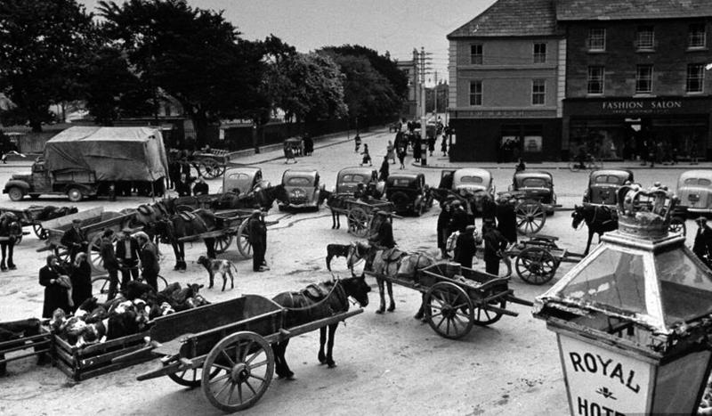 A Calf Fair in Eyre Square, Galway in 1945.