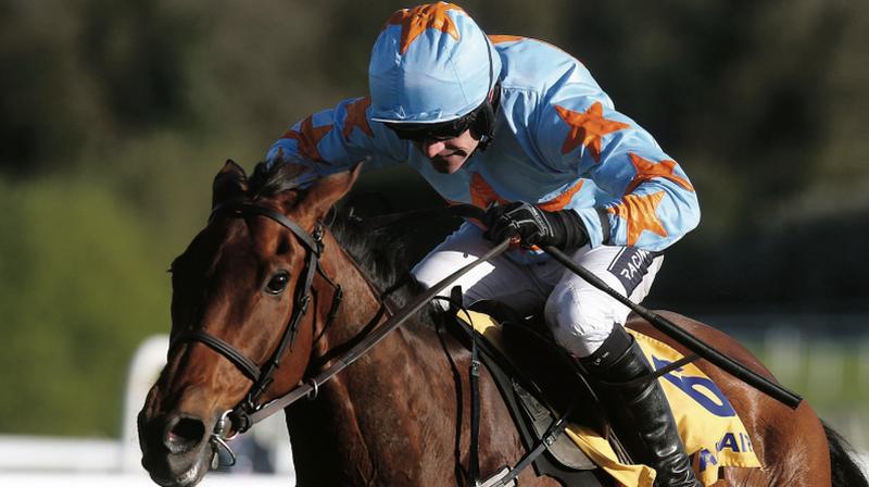 BANKER: Un De Sceaux and Ruby Walsh, hot favourites to land the Champion Chase at the Cheltenham Festival next Wednesday.