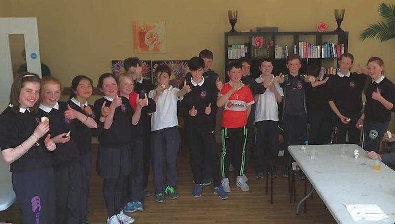 Under the Ballinderreen GAA Healthy Clubs initiative, sixth class children from the local national school visited Blake Manor Nursing Home and did an art class with the eight residents who signed up to the programme.