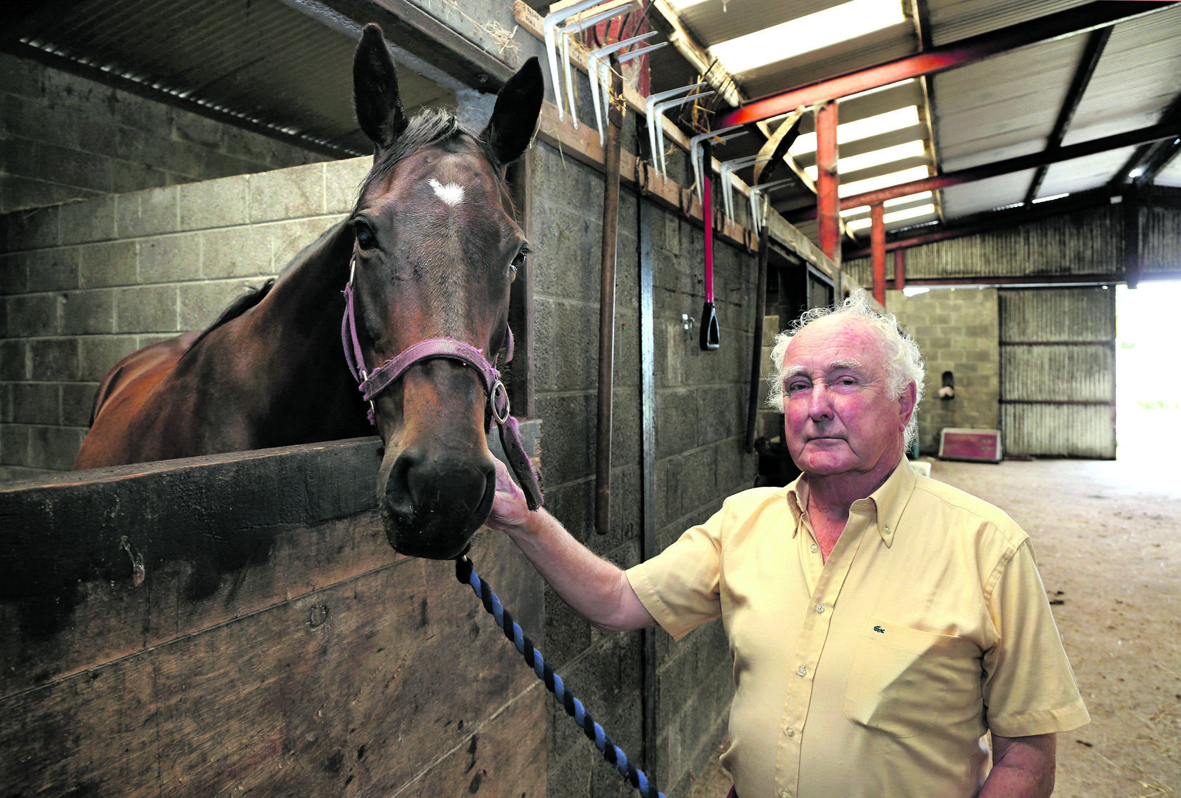 The late Dr. John Waldron: sold Faugheen as a foal for a modest enough amount, but that never bothered him. He is pictured here with the Champion Hurdle winner’s dam, Miss Pickering. Photo: Joe O'Shaughnessy.