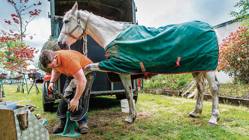 Farrier Mark Hester and his horse Cruiser at Féile na Tuaithe at the National Museum of Ireland – Country Life.