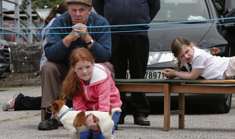 Keeping a close eye on the judging during the Dog Show at Athenry Agricultural Show. PHOTO: JOE O'SHAUGHNESSY.