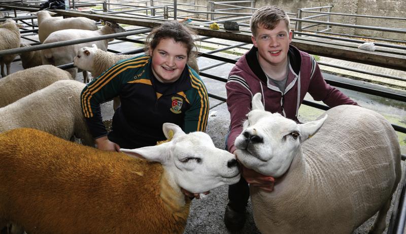 Aileen and Gerard Warde from Skehana with their prizewinning Texels at Athenry Agricultural Show. PHOTO: JOE O'SHAUGHNESSY.