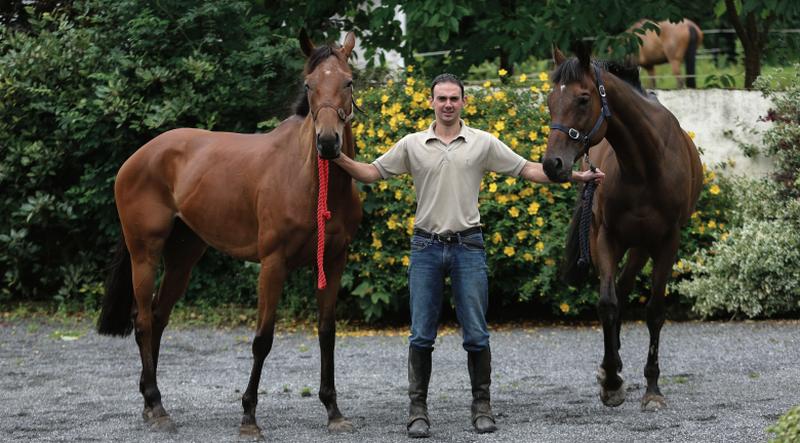 Ballybrit bound: Lawrencetown-based trainer Shane Ryder with two of his Galway festival hopefuls, Mysticaltou and Lisa's Legacy.