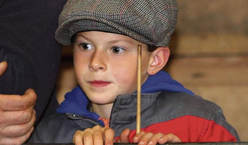 Darragh Ruijger (9) keeping his eye on the stock at the Loughrea Mart Show and Sale last Friday. PHOTO: HANY MARZOUK.