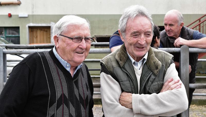 Tommy Freaney, Derrydonnell and Christy Conneely, Menlough, are all smiles as they view the 'Galways' at their Annual Show and Sale in Athenry.