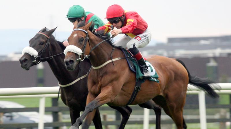 Galway jockey Leigh Roche, nearest camera, guides the Dermot Weld trained Zhukova to victory in last year's Ardilaun Hotel Oyster Stakes at Ballybrit.