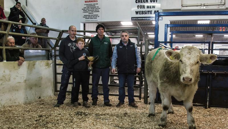 The Champion Weanling from the Show and Sale at Clifden Mart. (Left to right): Richard O’Beirne (judge); Jack O’Neill, Ballyconneely (winner); Padraic Heanue (Manager of Clifden Mart ) and Pat O’Neill, Ballyconneely (winner).