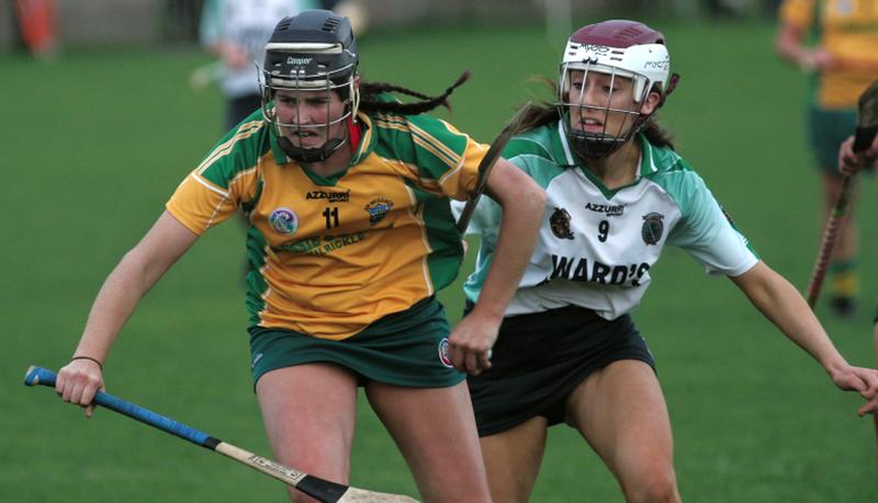 Sarsfields Kate Gallagher puts the pressure on Mullagh’s Patricia Manning during Saturday's Senior Camogie Championship Final at Duggan Park, Ballinasloe. Photos: Enda Noone.