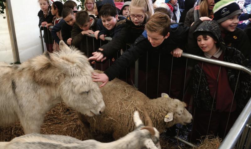 Children meeting with the animals at the Live Crib outside Galway Cathedral last week.