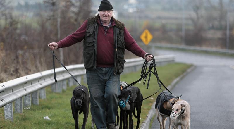 Greyhound trainer Kevin Connolly takes his dogs for a walk near Atherny. Photograph: Hany Marzouk.