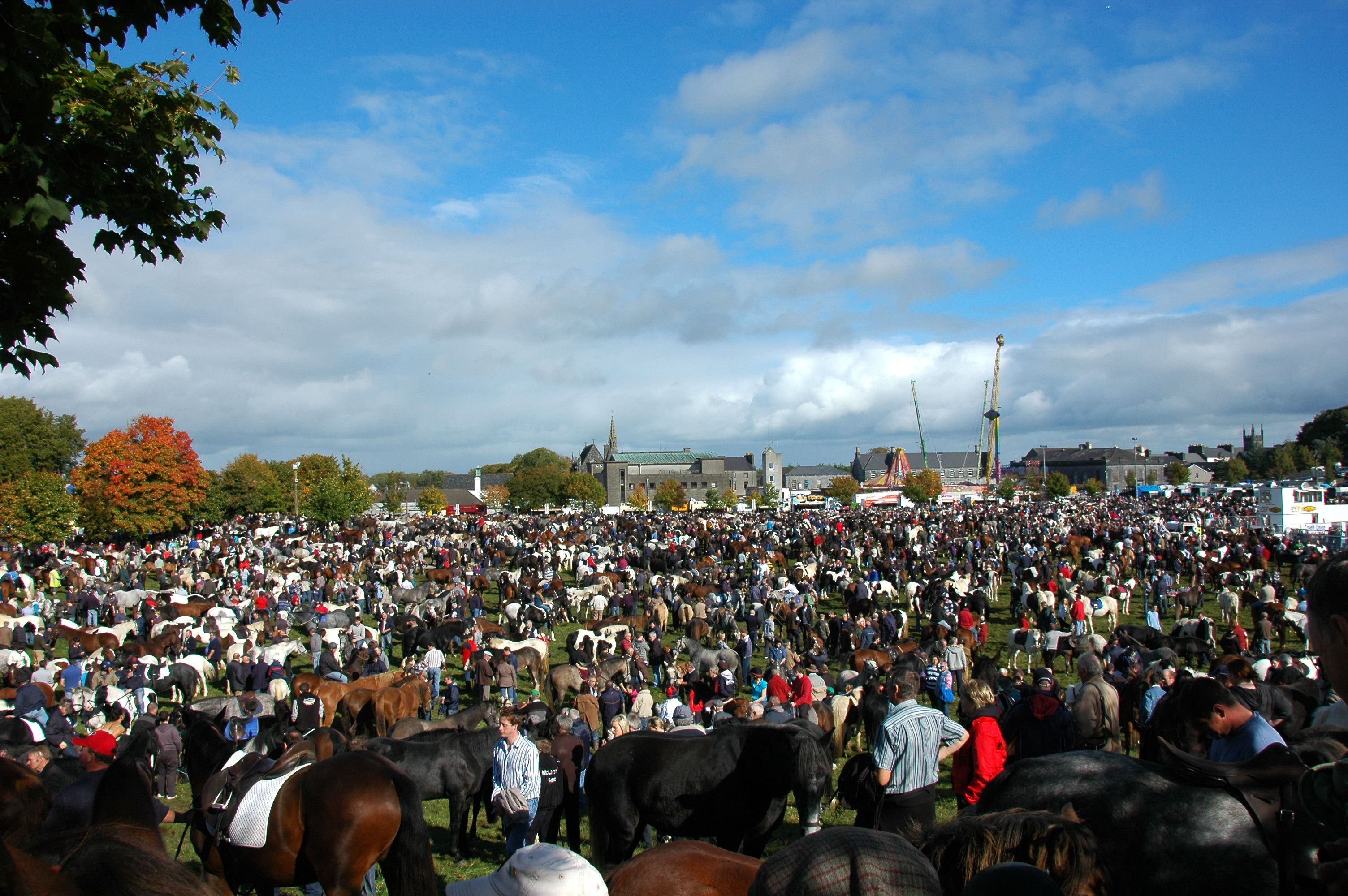 Fairgreen, Ballinasloe