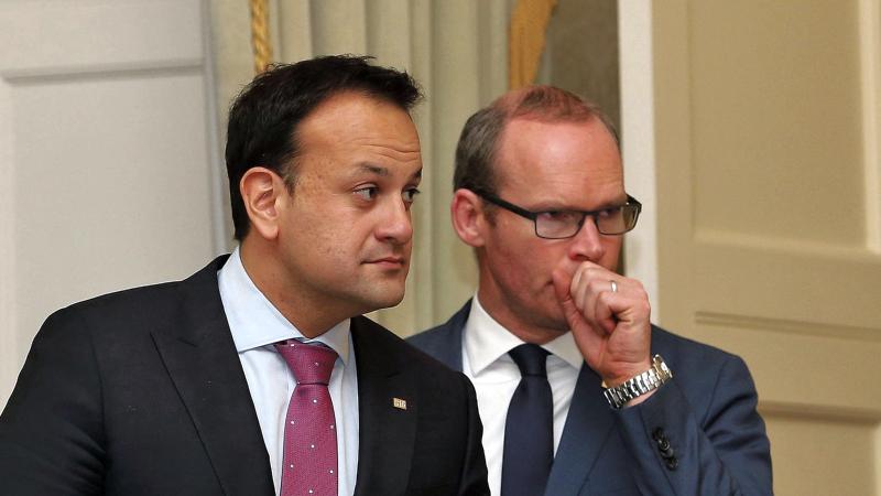 The likely lads...Leo Varadkar and Simon Coveney at Aras an Uachtarain back when they received their seals of office.