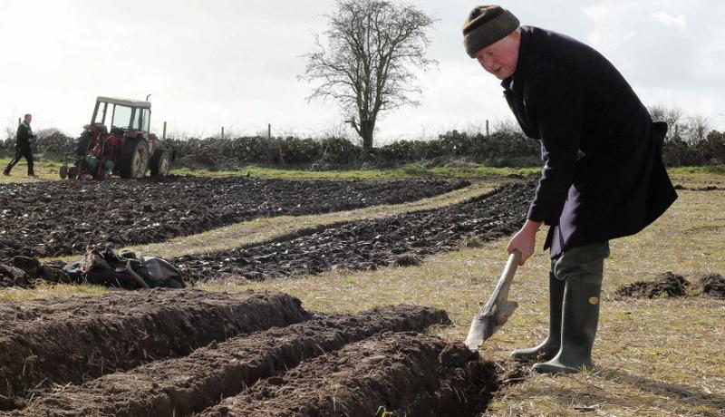 Thomas Cunningham using the loy to turn the sod at the Galway Ploughing Championships earlier this month in Monivea.