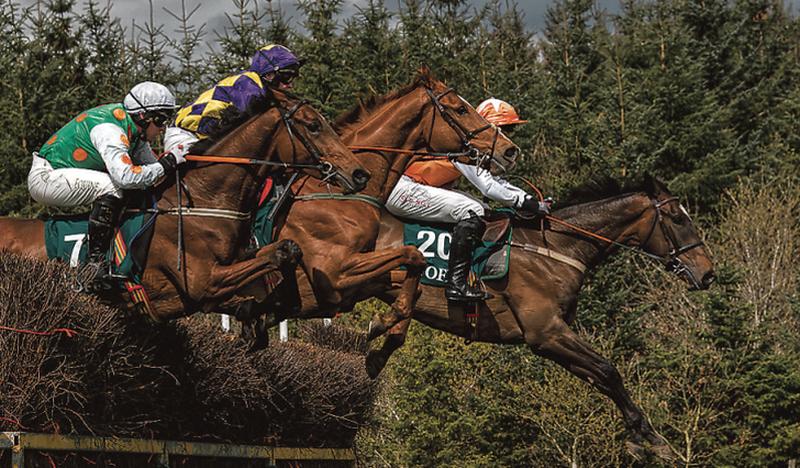 Three in a line at the County Galway Hunt's Point to Point at Dartfield, Kilreekill, Loughrea.