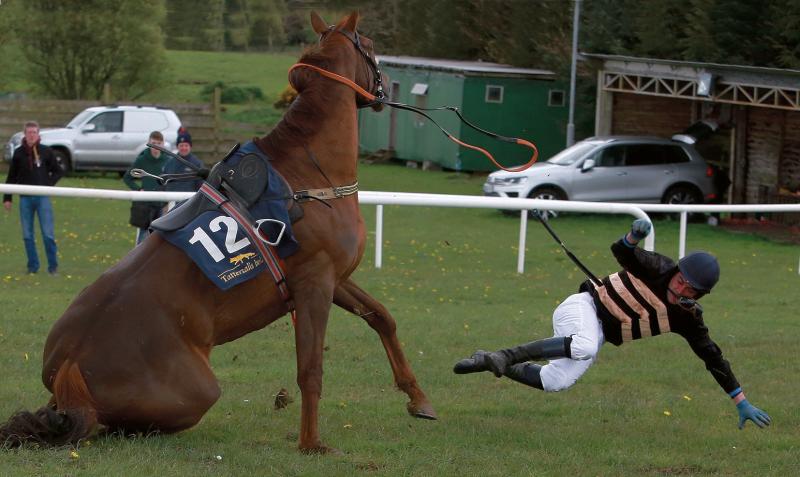 The downside of Point-to-Pointing as horse and jockey part company during the recent meeting in Dartfield, Loughrea.