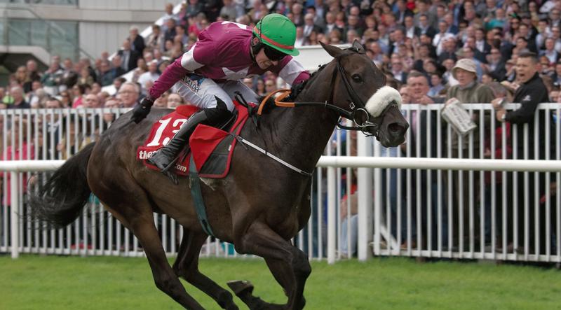 Back for more: Lord Scoundrel is driven out by Donagh Meyler to win The Tote.com Galway Plate at Ballybrit last year. The Gordon Elliiott trained eight-year-old will be attempting a repeat win next Wednesday.