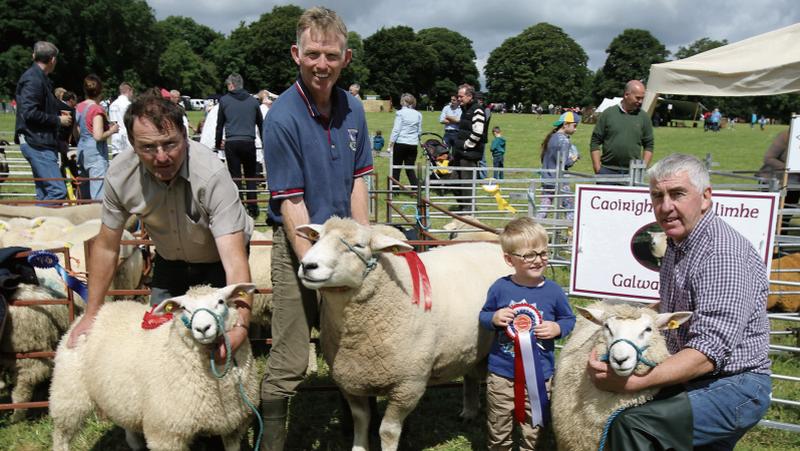 Dermot Connolly (centre) from Aughrim, pictured with his son Grellán Ó Conghaile, was the winner of the senior Galway Ram Class at Mount Briscoe Rare & Traditional Breeds Show held in Daingean, Co. Offaly. Also in picture is Paddy Glynn from Ahascragh and Sean Kilkelly from Ahenry, who were also winners in the Galway Sheep section. PHOTO: HANY MARZOUK.