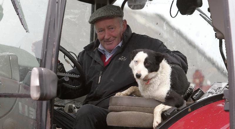 JJ Manton, Dartfield, Kilreekil, doing his fodder rounds on the tractor with his dog occupying the passenger seat on the tractor. PHOTOS: HANY MARZOUK.