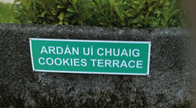 The offending sign in Bohermore