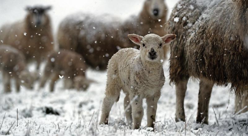 The Winter woollies could be needed for a few days to come.