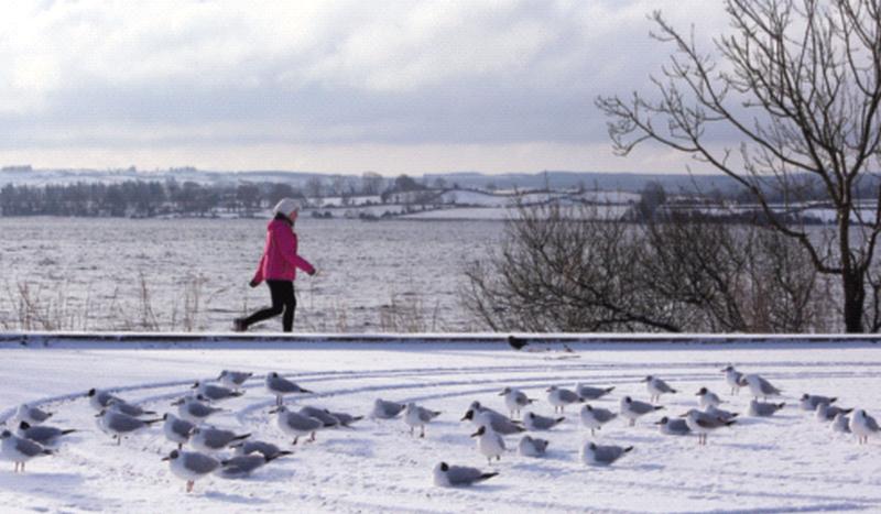 A walk in the snow at the Grey Lake, Loughrea. Photos: Hany Marzok.